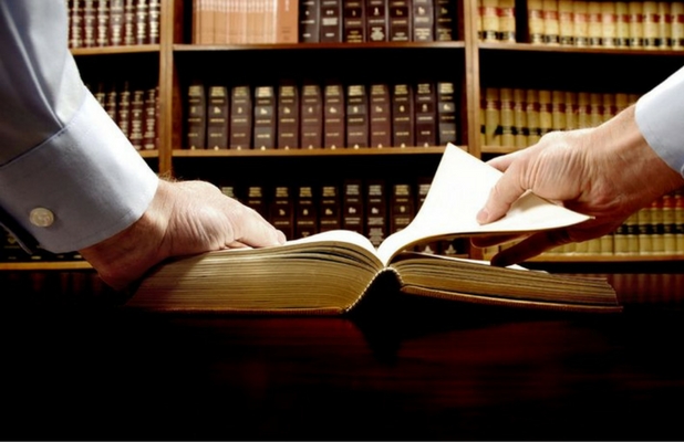 Litigants in Person